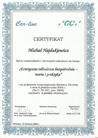 Michał Hajdukiewicz — Estetyczna odbudowa bezpośrednia